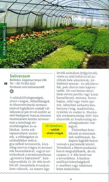 saliverzum_top100_20210106_ck2