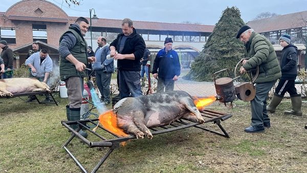 disznotoros_kistelek_20260209_ck_017