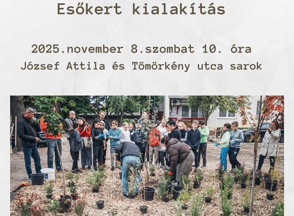 Újabb esőkertet alakítanak ki Kisteleken