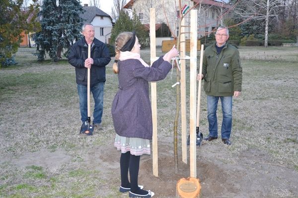 faultetes_petofi_200_balastya_20230320_ck_010