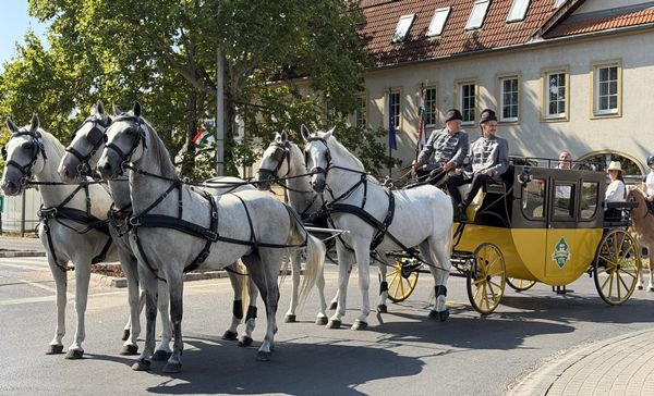 Kistelek 250 – A Kisteleki Búcsú- és Aratóünnep képes krónikája