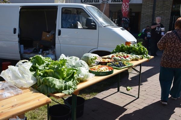 lfoldmuvesek_napja_20240924_ck_019