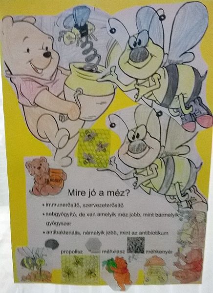 mezes_eloadas_baks_201512_ck