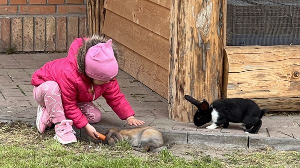 Tíz bájos nyuszit lehetett simogati